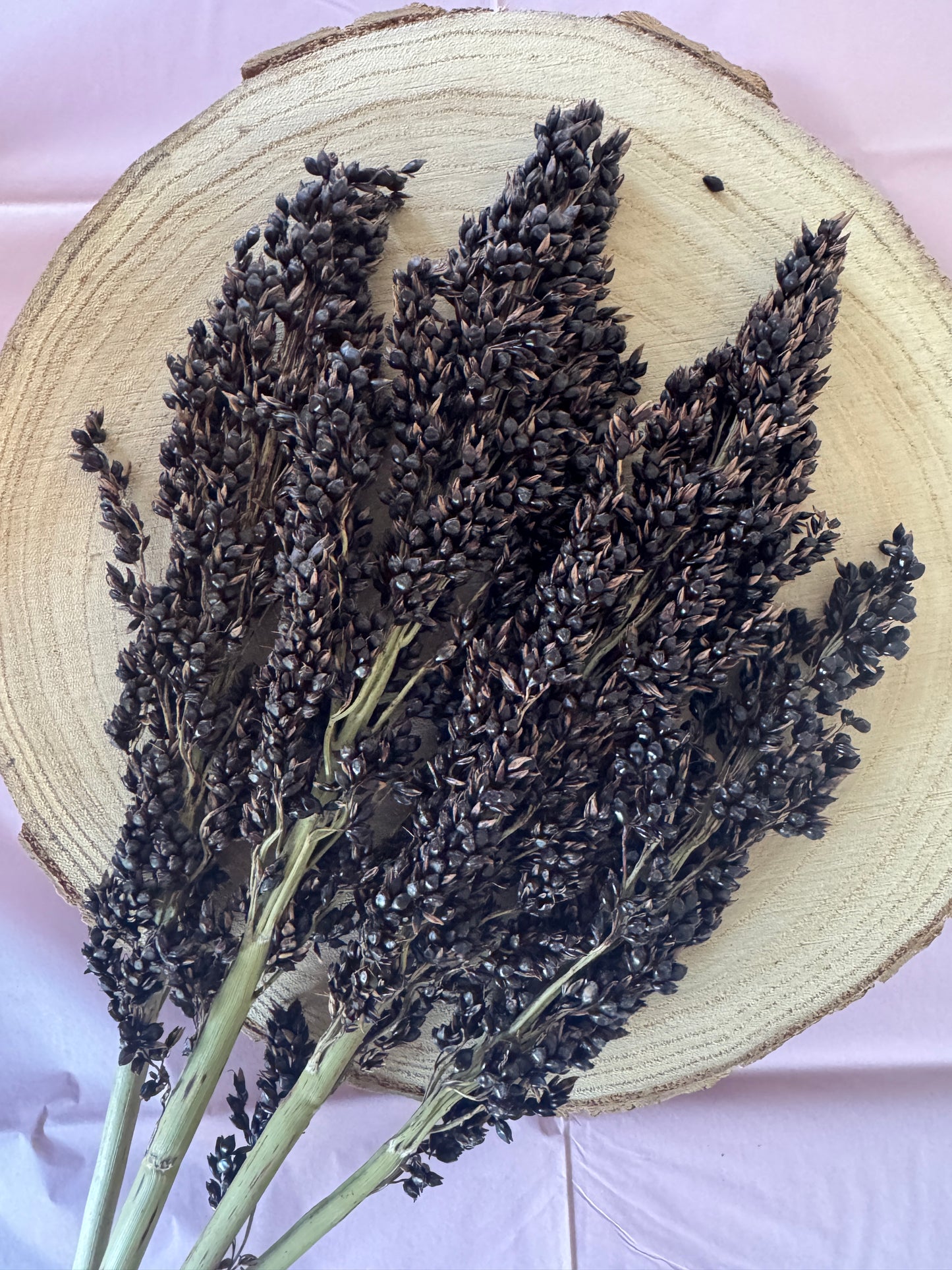 Black Sorghum