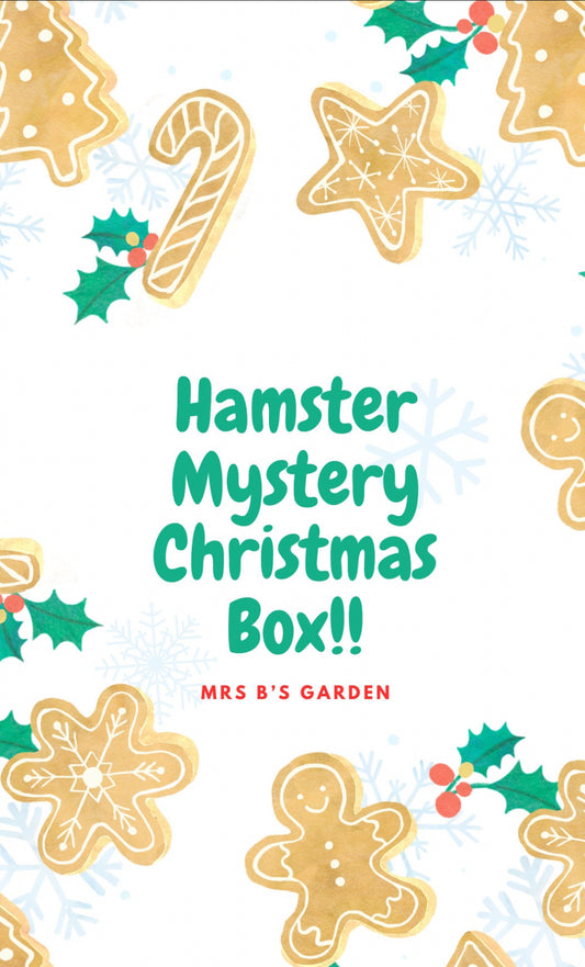 Hamster Mystery Christmas Box