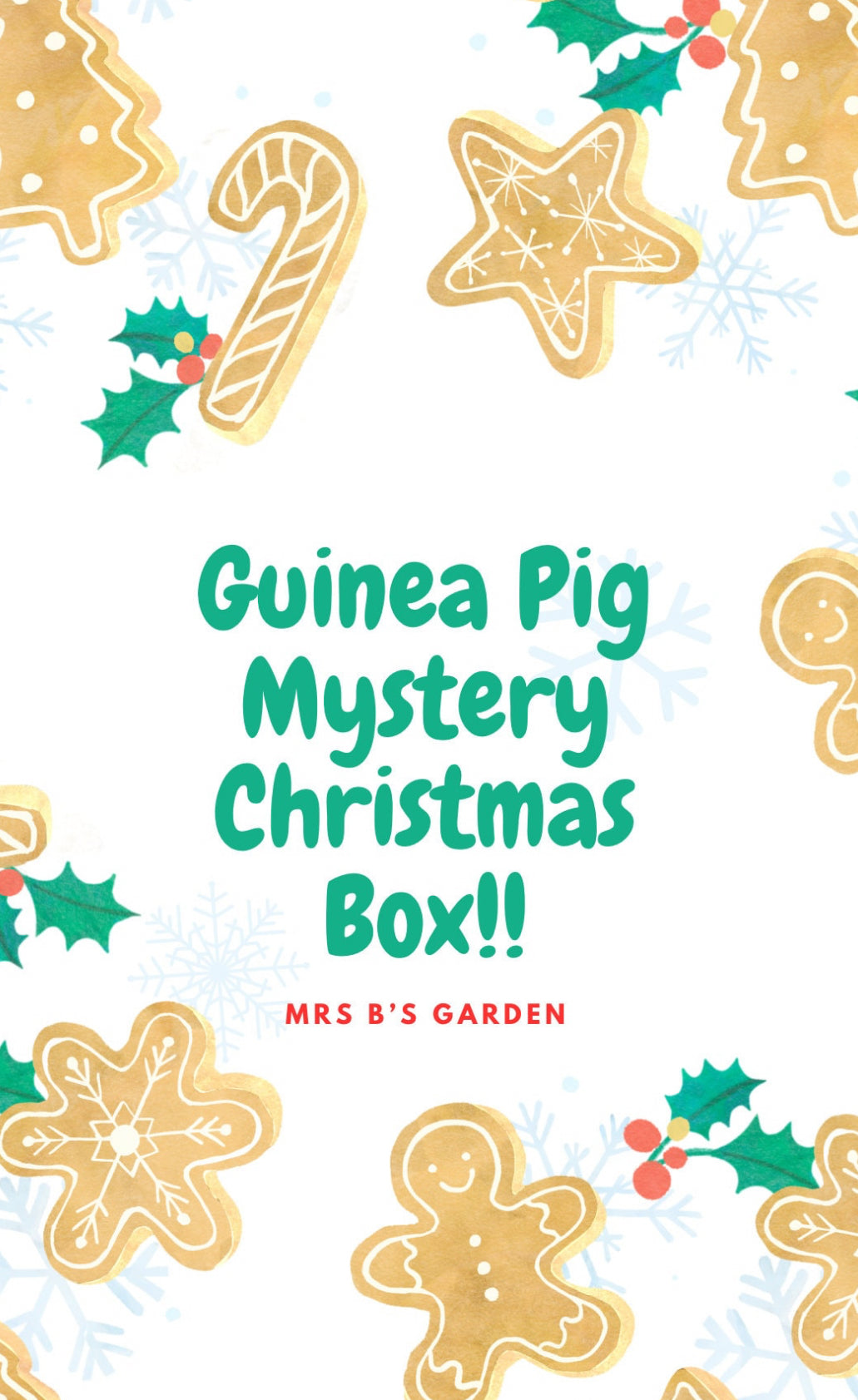 Guinea Pig Mystery Christmas Box