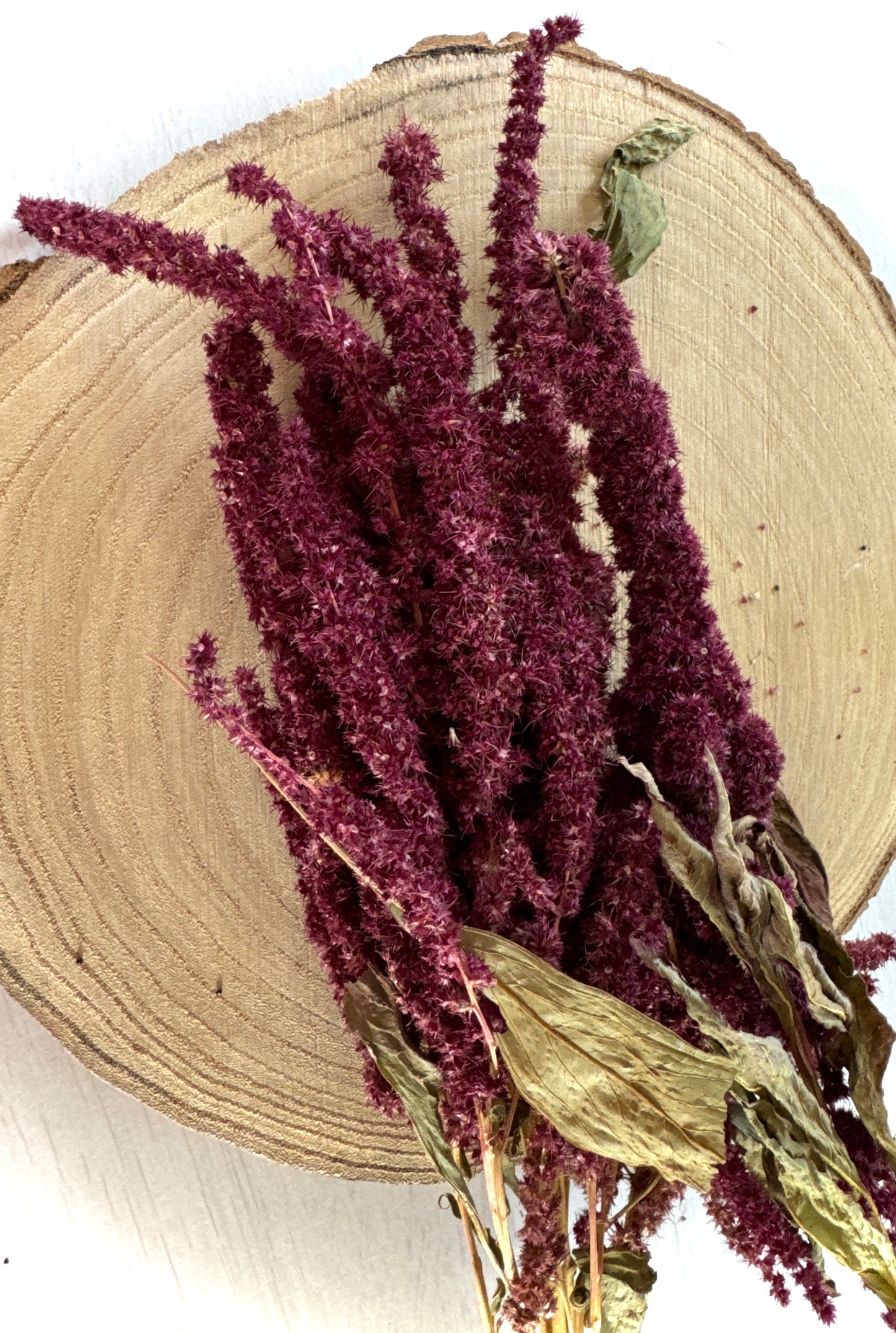 Amaranth