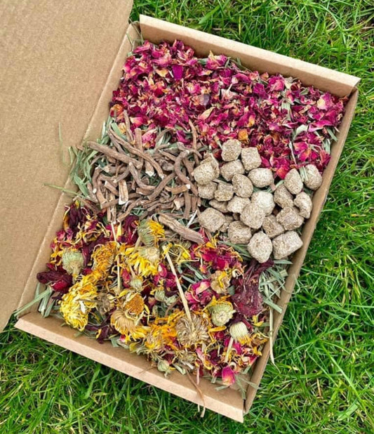 Botanical Forage Box