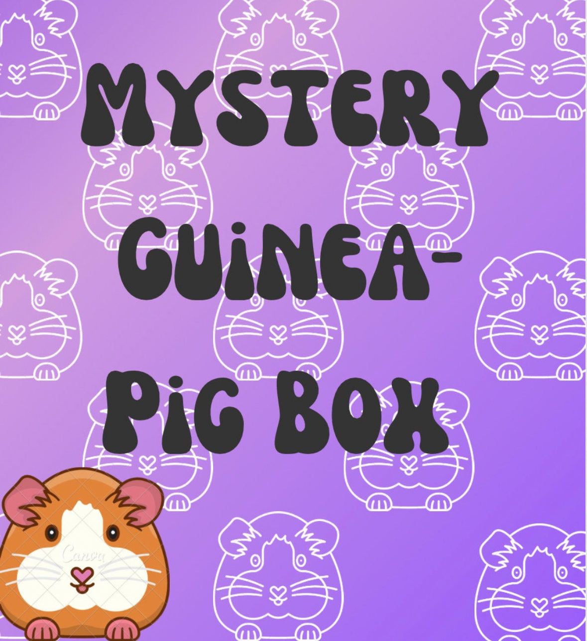 Piggie Surprise Box!